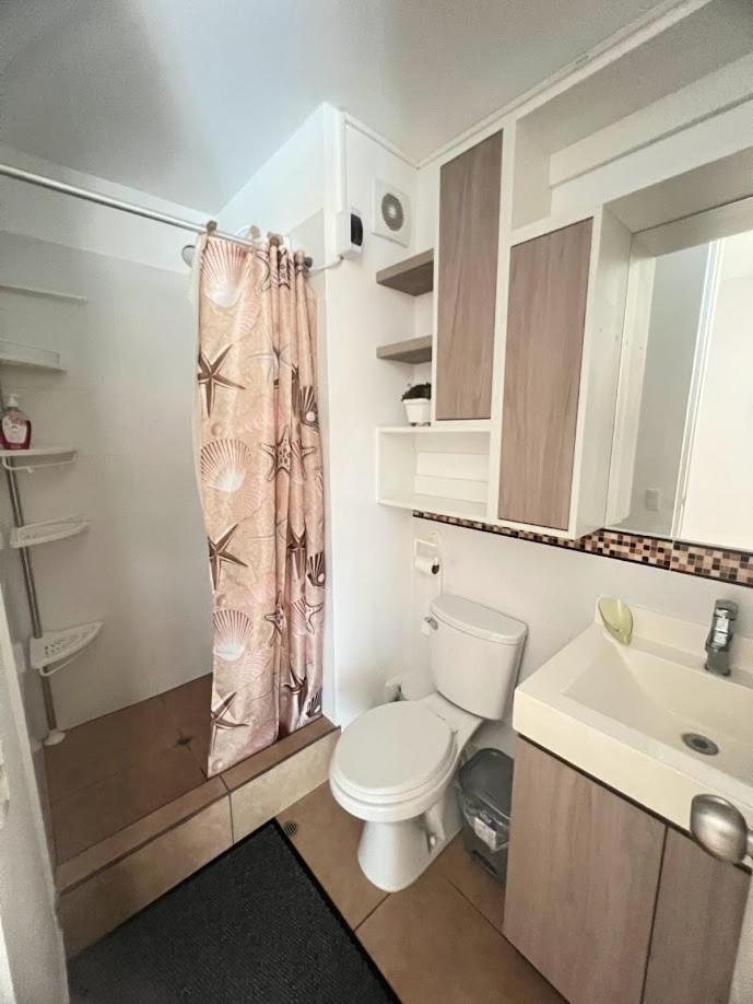Homestay Privada Habbey Road En Dpto Compartido.